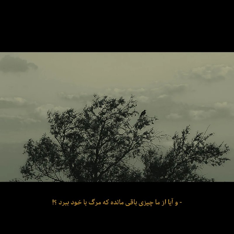 غرور | Axeset: باقی مانده؟┄┅┄┅┄┄┅┄┅┄『 @AXESET 』
