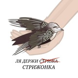 Little Swift