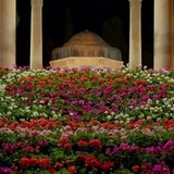دنیای دکلمه و شعر🌺📚