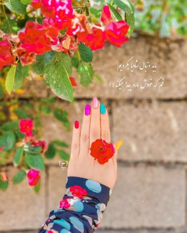 ذهن شاد و زندگی شاد: باید دنبال شادیا بگردیمغم که خودش ماروپیدا میکنه:)🌿🌺🌿🌱🌺🍃🌺🍃🌺🌱👉 @zendgiieshad