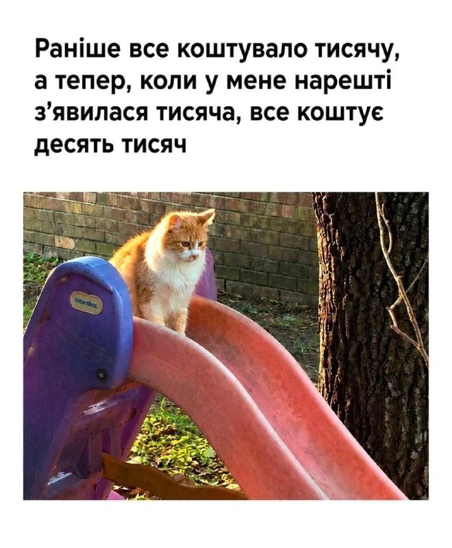 превью