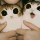 бебебе