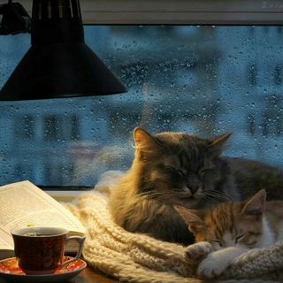 Чат • Франківськ Telegram Group Link