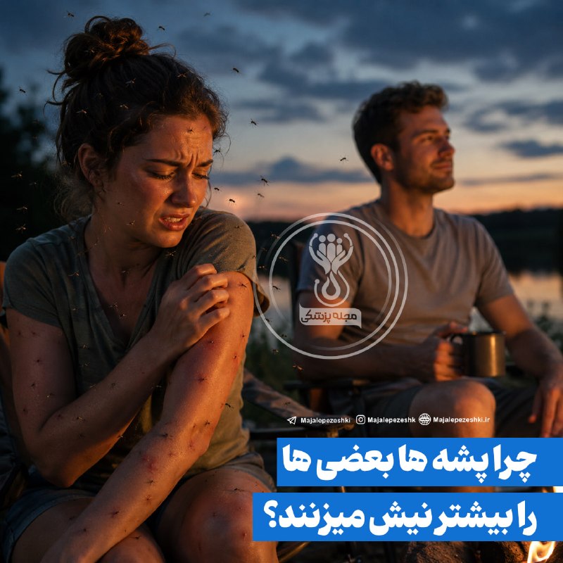 پايگاه خبرى هه‌وال: 🔴چرا پشه ها بعضی هارا بیشتر نیش میزنند؟🔸پژوهش‌ها نشان می‌دهند که بوی بدن و باکتری‌های موجود روی پوست می‌توانند در میزان 