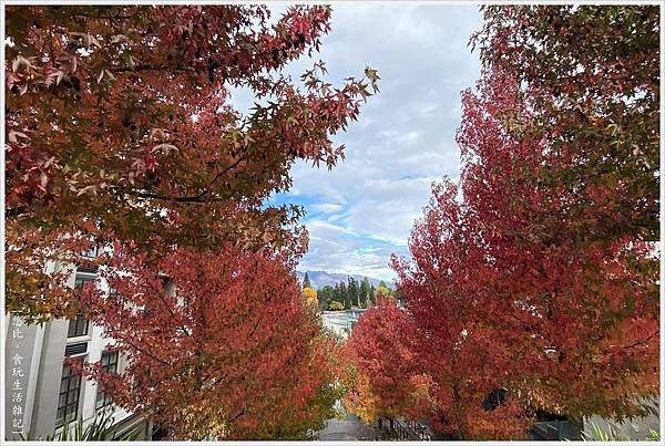 [紐西蘭|南島。擁有優美的自然風景 秋色皇后鎮。Fergburger漢堡]