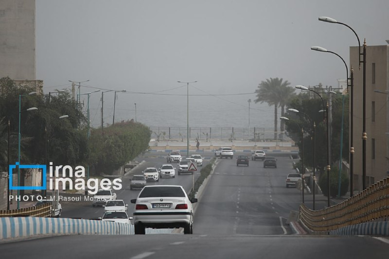 🔸 הפחתה של 17.4% בייצור הרכב בשנה שעברה/ 130 מיליון ליטר צריכת בנזין ביום