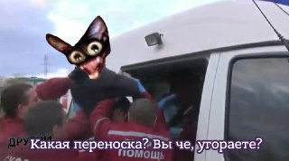 Семья из Магадана обратилась за помощью к спасателям, чтобы обезвредить взбесившегося кота.«Домашний кот вдруг начал вести себя агрессивно и нападать на хозяев. Семья не смогла справиться самостоятельно и позвонила в Службу спасения. На вызов оперативно вы