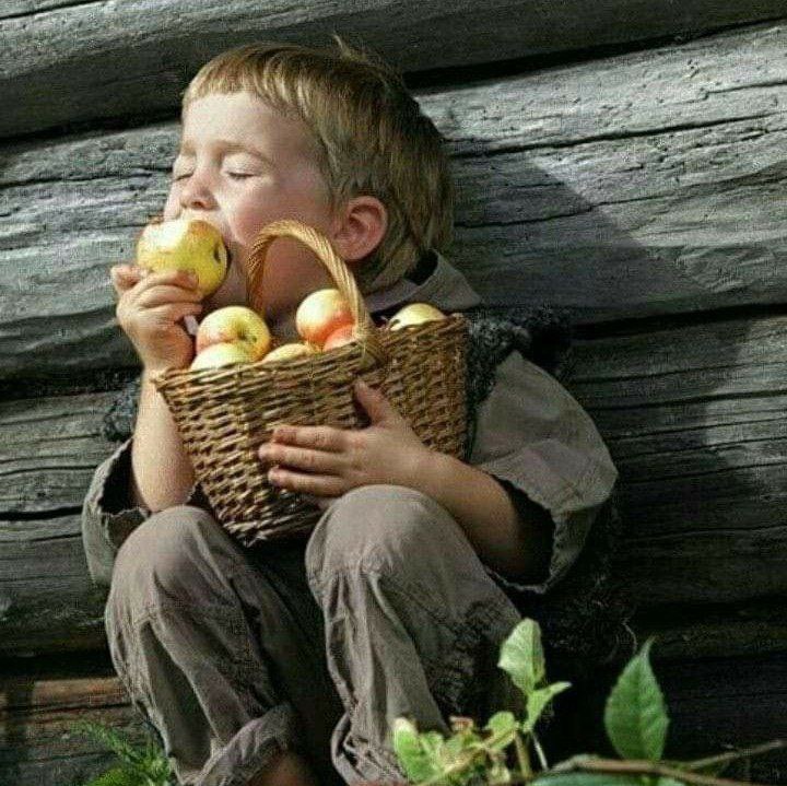 ☀️_محفل دوستانه..Mehr -☀️: مسیح کاشانیآنکه این آب طراوت به گلستان تو دادصبح را «شیربهای»لب خندان تو داد...! 🌹💐