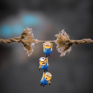 Animation movies Telegram Group Link