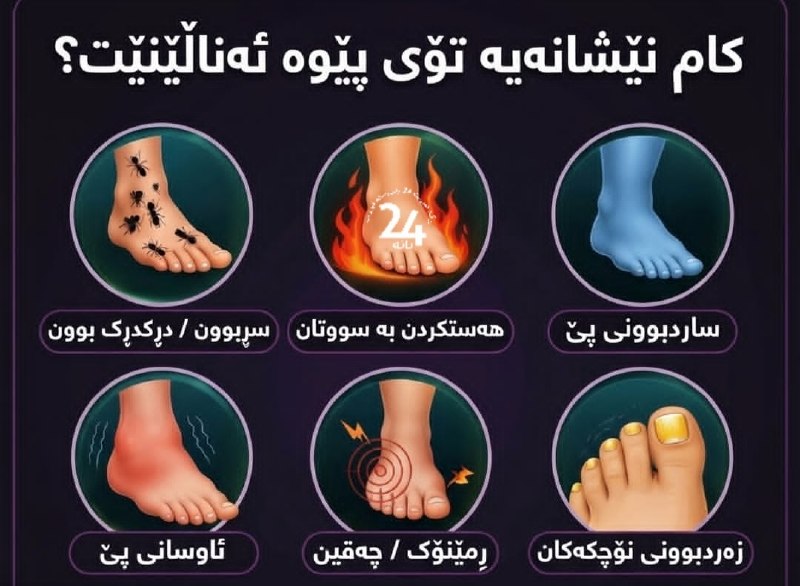 بانه 24: 🗓️ سەشنبه 27 مرداد🔺#تەندروستی➖ #بانە_٢٤ #دەنگی_ئێوە 📝🗓 1405/05/27👁‍🗨تلگرام👇➡️ @banah_24🔹👁‍🗨روبیکا👇➡️ https://rubika.ir/b