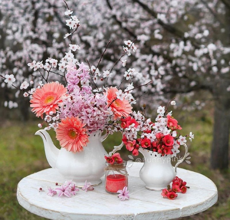 ♥️س̾ل̾ط̾ا̾ن̾ ق̾ل̾ب̾م̾ م̾ا̾د̾ر̾م̾♥️: ســ🥰✋ـــلام 🪴صبح قشنگنون 🌸بخیر و شـادی🪴یک روز بی نظیر🌸یک لبخند از تـہ دل🪴یک شـادی بی دلیل🌸یک خـدای همیشہ همراه🪴با هزار آ