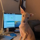 IggyTech