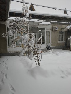 Продается дом на шофайизе.