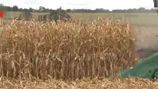 🎦 An endless domino economic earthquake in the world