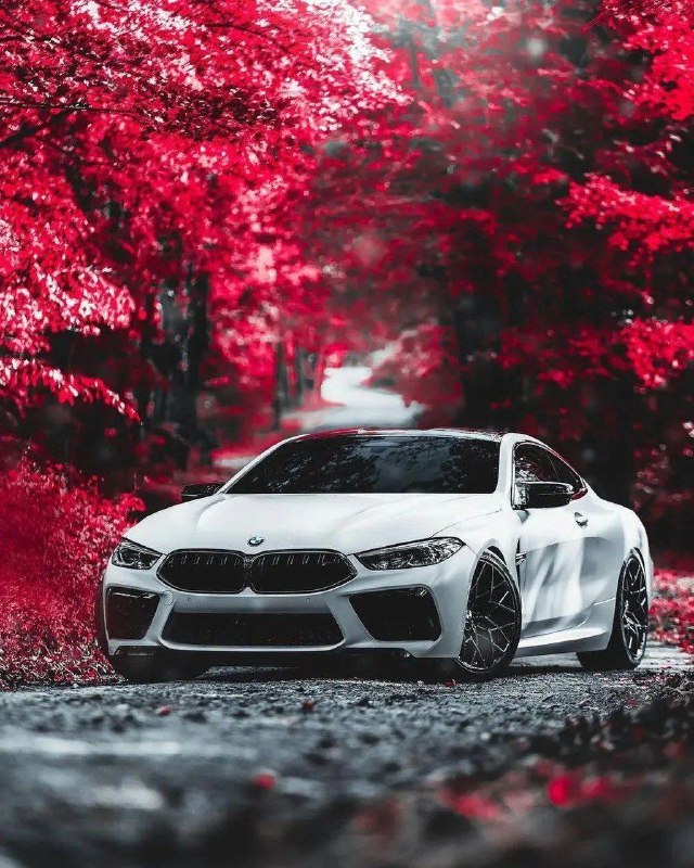 https://t.me/bmw_mpower_club