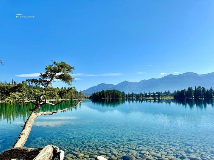 【加拿大】Jasper National Park野火過後－賈斯伯國家公園的創傷與重生影像紀錄
