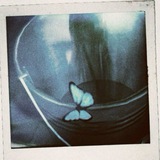 MP.З PHOTO