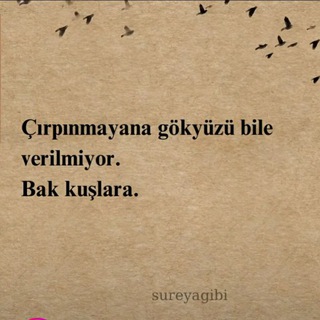 EKPSS (2. ATAMA) ETKİNLİK 4001-3001-2001