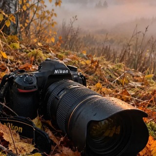 Telegram profile photo for 📸 ℙ𝕙𝕠𝕥𝕠 𝕒𝕟𝕚𝕞é ℝ𝕖𝕝𝕒𝕩𝕚𝕟𝕘...🙌🫆