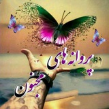 🧚✨پروانہ هاے مجنون✨🧚
