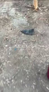שברי הגנה אווירית של ארה"ב נופלים על בתי אזרחים בארביל