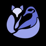 P!N | Турнир для первокурсников
