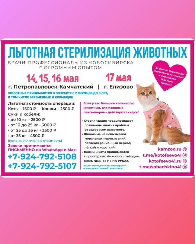 @help_animal41 posted a photo