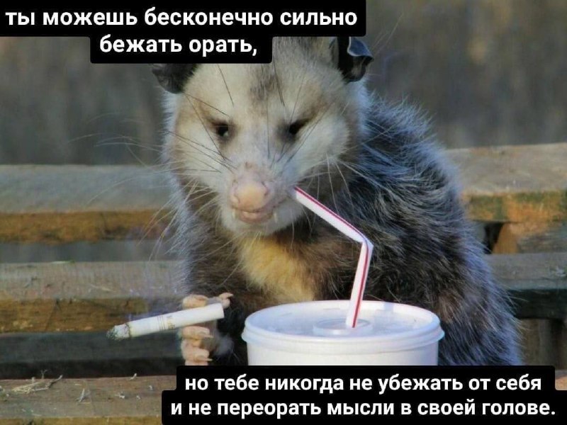 Image from a post by Депрессивные мемы