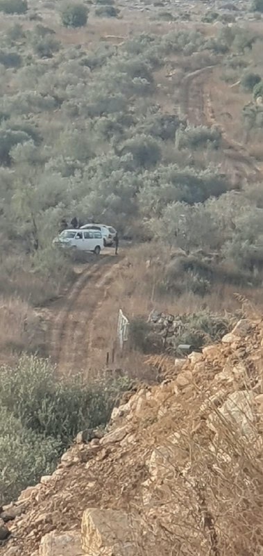 כוחות ישראליים מונעים מתושבים למסוק זיתים בכפר בורטאה, מצפון לג'נין