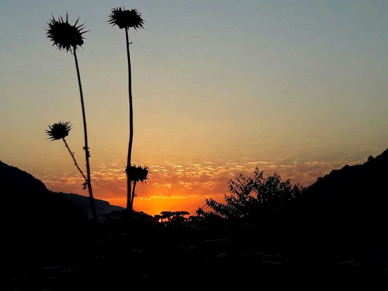 کانال بزرگ قائمشهر: #هواشناسی_مازندران 📅 امروزیکشنبه و فردا دوشنبه ۲۵ و ۲۶مرداد:⬅️مناطق ساحلی تا میان‌بند:⛅️☁️💧نیمه‌ابری گاهی ابری همراه با 