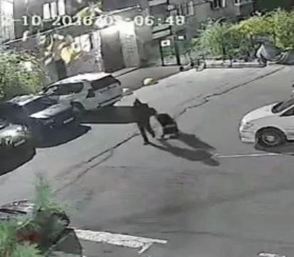 האב העתידי גנב טיילור מהכניסה ל"מתנות" את אשתו. תושב ח'בארסק החליט לא להוציא כסף על כיסא גלגלים לתינוק העתי…