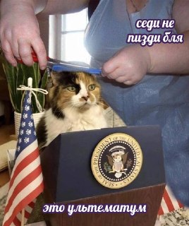 Немного апдейтов по ультиматуму Трампа:  ▪️ Иранцы выстроились в «живые цепи» вокруг энергетических объектов, чтобы защитить их от ударов США, сообщает агентство Tasnim. Ранее создавать «живые цепи» призвал министр по делам молодёжи Алиреза Рахими;  ▪️ Так