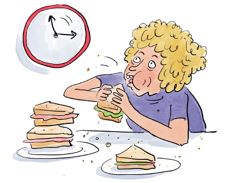 אכילה כל שעתיים אינה מגבירה את חילוף החומרים בגוף