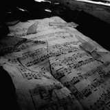 𝑀𝑖𝑙𝑔𝑟𝑎𝑚 𝐼𝑛𝑡𝑒𝑟𝑣𝑎𝑙 ♪