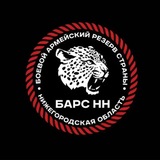 БАРС-НН