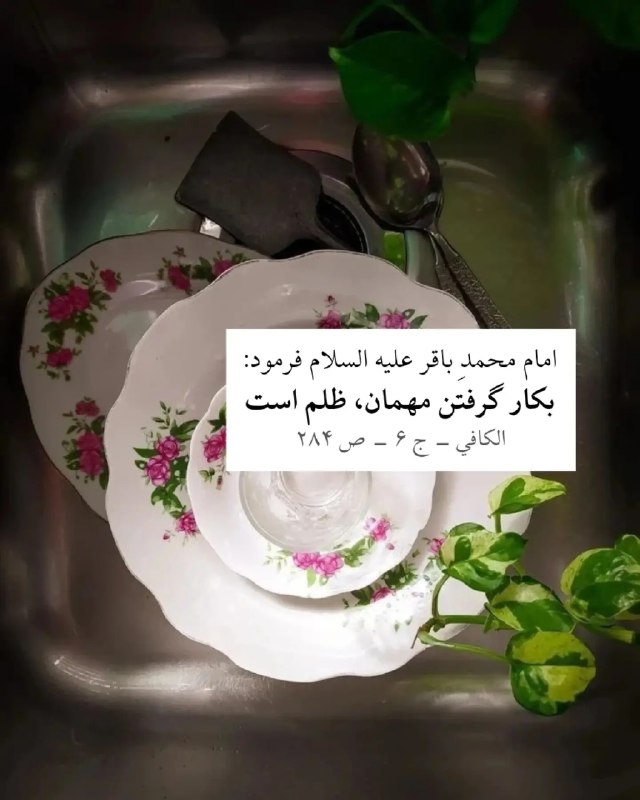 خبرگزاری فارس ✔: 🖼 از مهمان کار نکِش@FarsMaaref 💠