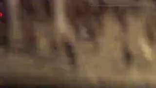 🎦 נכה שגם דיבר וגם הודה בפשעו; פרטים חדשים על הוצאות להורג היום בעוספיה