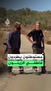 מתנחלים חמושים מגרשים קוטפי זיתים ופעילים זרים מאדמות הכפר אל-לבן אל-גרבי, מצפון-מערב לרמאללה.