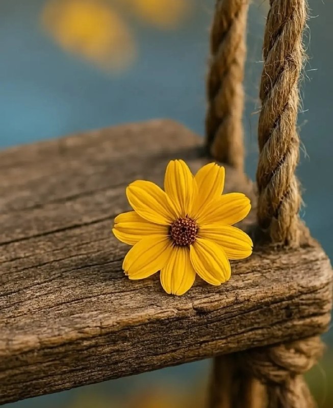 🌸 زندگے جاریست 🌸: اون لحظہ اے ڪہ یاد بگیرے از چیزاے ڪوچیڪِ زندگے لذت ببریو قدر داشتنشون رو بدونیتازہ شروع میڪنے بہ زندگے ڪردن...🍃🌸 @zendeg