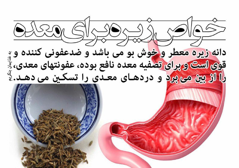 درمانگاه طب اسلامی گیاهی شفا: 🔴خواص زیره برای معده✅دانه زیره معطر و خوشبو بوده وضد عفونی کننده و قوی است و برای تصفیه معده نافع بوده, عفونتهای معدی را
