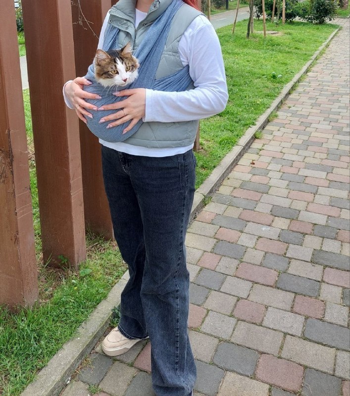 Кенгуру для кошек или маленьких собак. Регулируемые лямки, использовалось 1 раз, нашей кошке не зашл