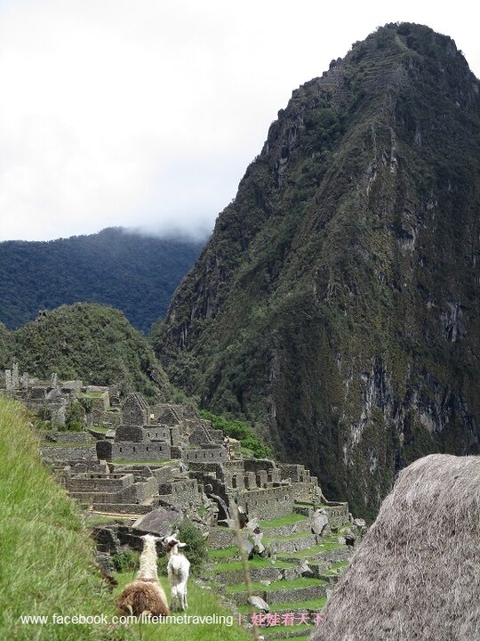 【馬丘比丘回程到聖谷】(含去程連結)