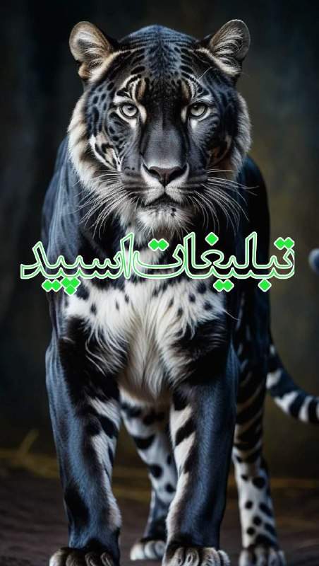 گروه تلگرام | گروه چت | گروه گپ | گروه دوستیابی: ❶﹚ نام : ]ᬉ ⃤♥️روزهاے عاشقے♥️🌙ᬉ ⃤]❷﹚ نو؏ تبلیغات : #telegram❸﹚ توضیحات :1➖ رعایت ادب و احترام🎭2➖ تبلیغ ممنوع⛔️3➖ چت پست 