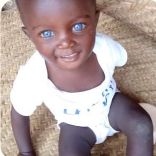 Friends of Kenya Malta Telegram Group Link