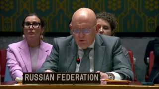 Russia's envoy to the United Nations in Venice: