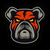 DDOG News