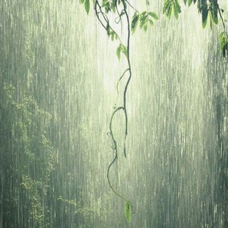 Anonymous ST discussion Telegram Group Link