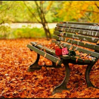 ❣.ӧgɺב.ӧLɹ̤בɺỈ.❣~ Telegram Group Link