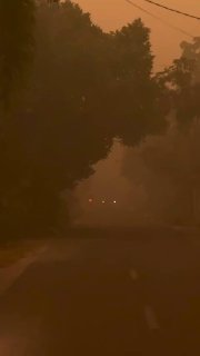 תושבי אחד מהאיים הגדולים בעולם, קלימנטן (המחולקת בין אינדונזיה, מלזיה וברוניי), נחנקים מערפיח כבר יותר מחוד…