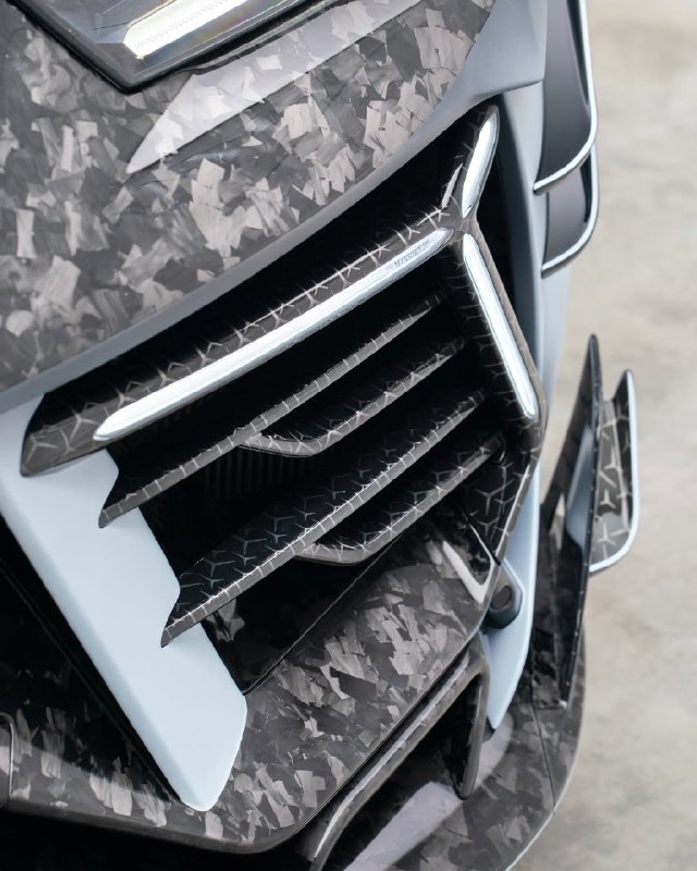 Mansory Venatus EVO S 9